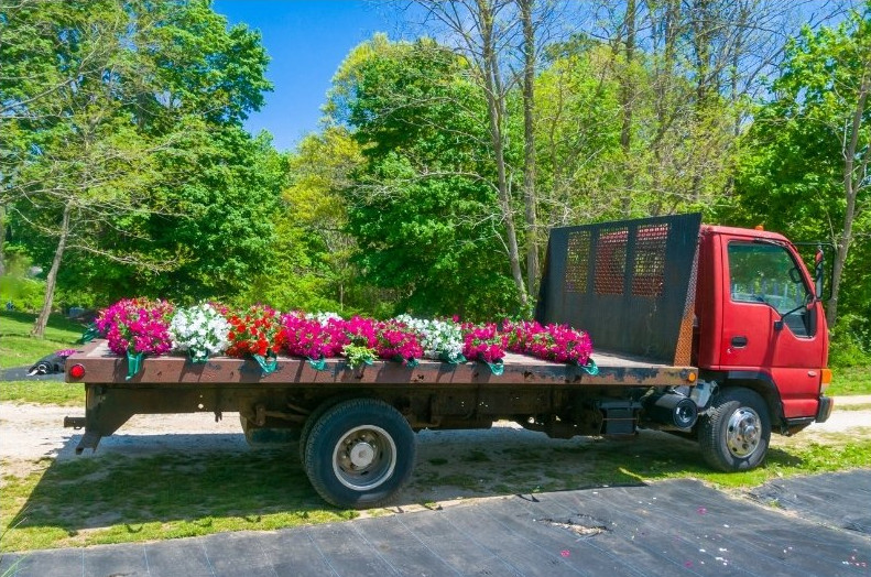 lastbil med blommor på flaket